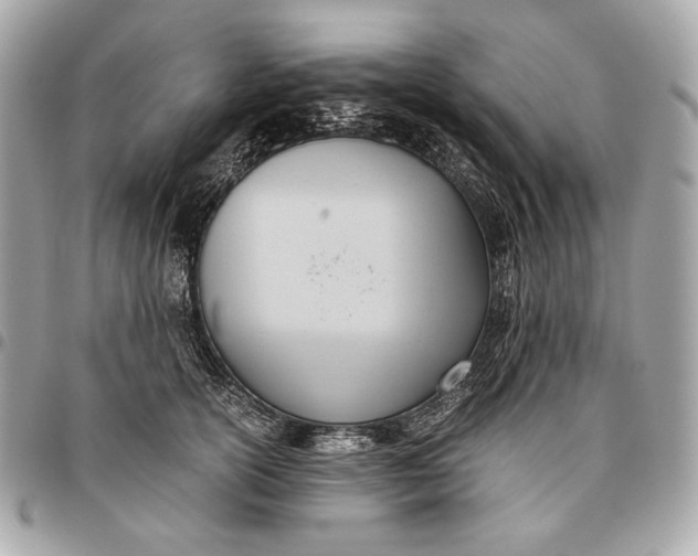 X0000096460754200802071833