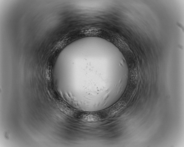 X0000096460755200802071833