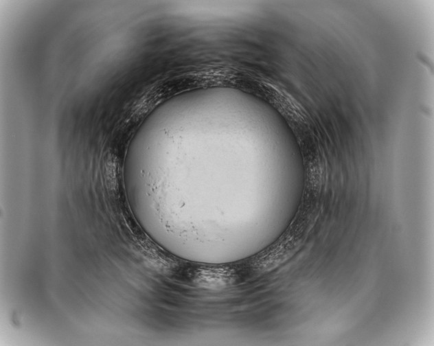 X0000096460757200802071833