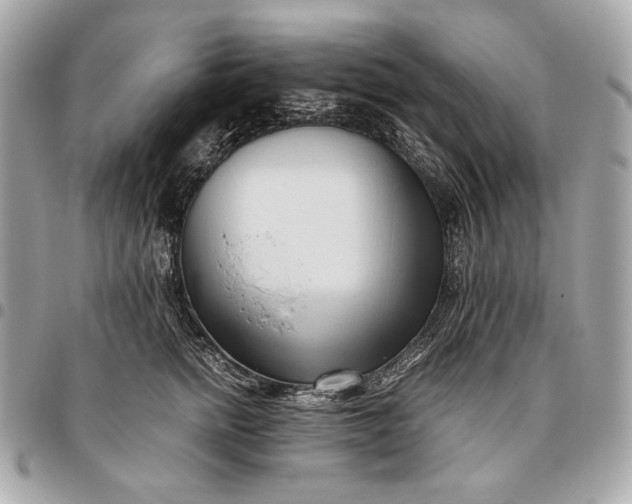 X0000096460758200802071833