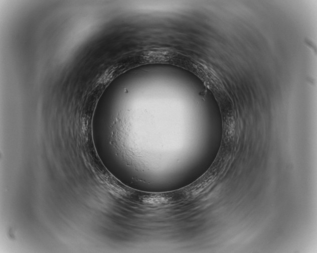 X0000096460759200802071833