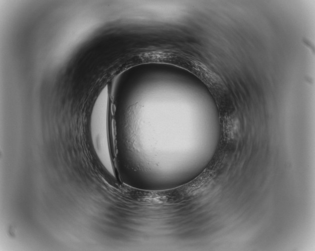 X0000096460760200802071833