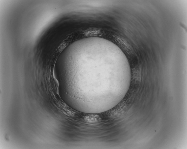 X0000096460761200802071833