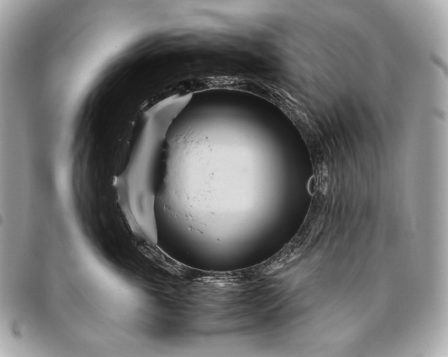 X0000096460763200802071833