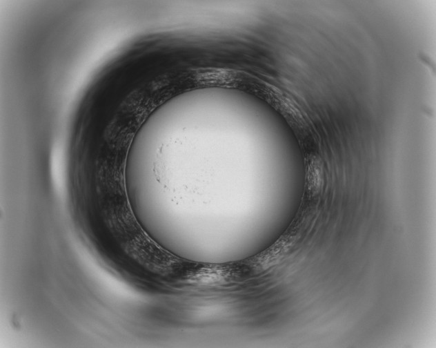 X0000096460764200802071833