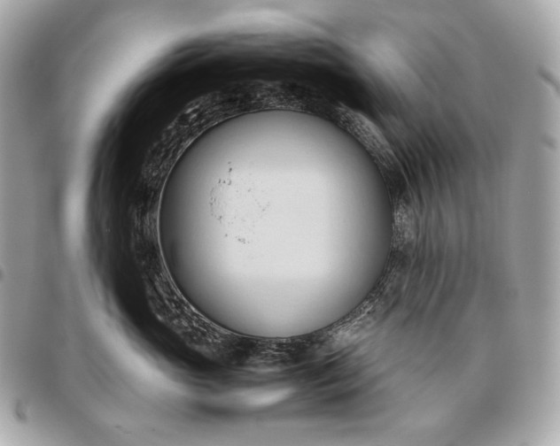 X0000096460765200802071833
