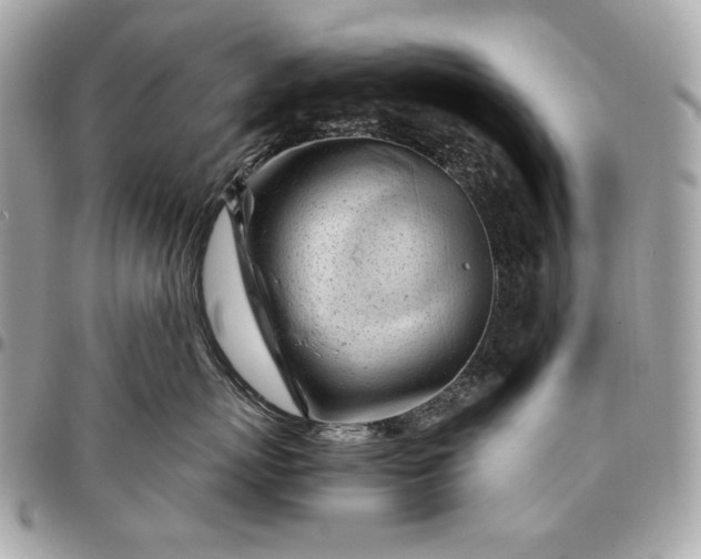 X0000096460767200802071833