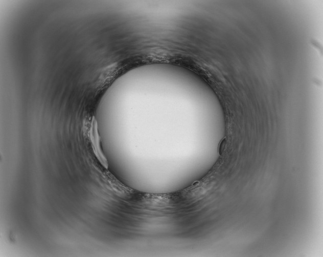 X0000096460768200802071833