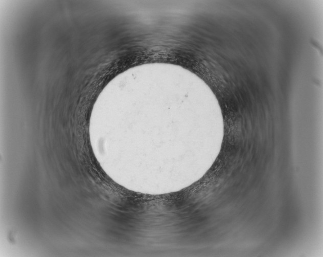 X0000096460769200802071833