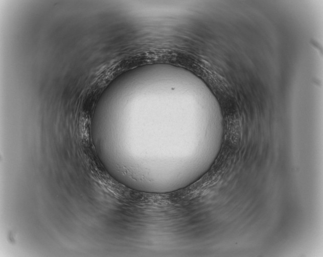 X0000096460770200802071833