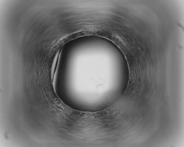 X0000096460773200802071833