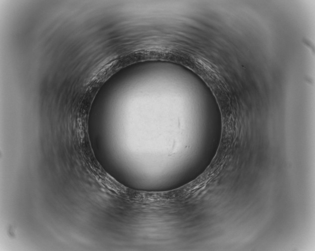X0000096460774200802071833