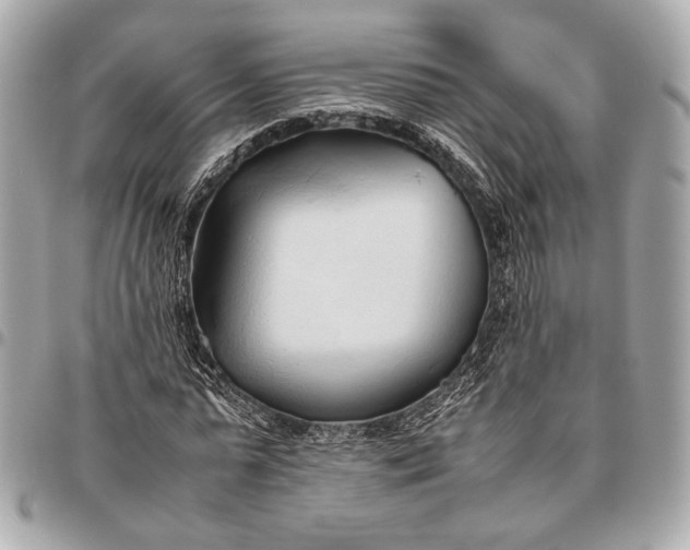 X0000096460775200802071833