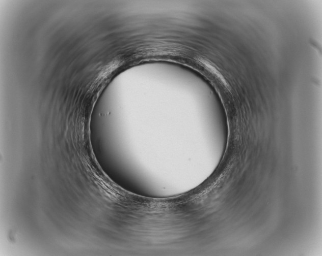 X0000096460777200802071833