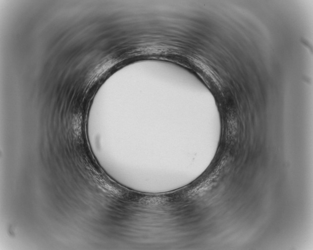 X0000096460778200802071833