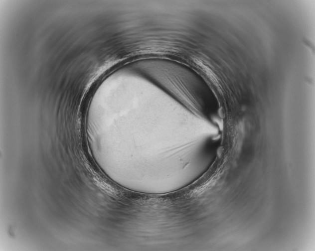 X0000096460779200802071833