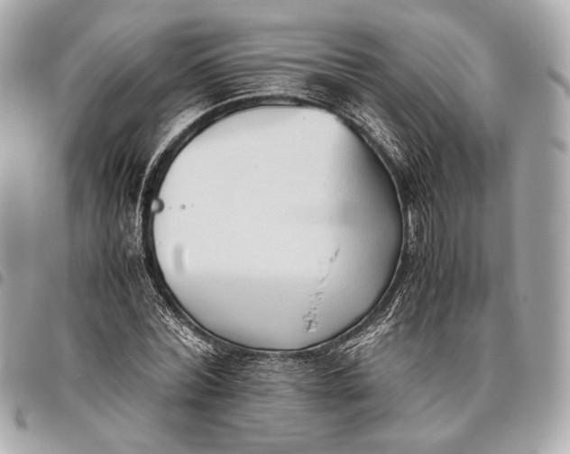 X0000096460780200802071833