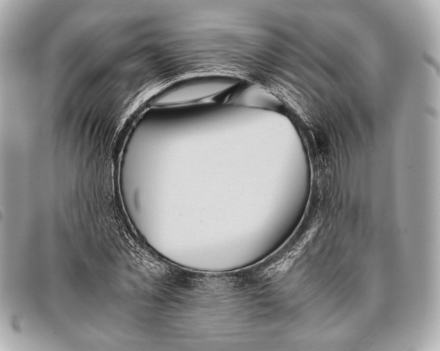 X0000096460781200802071833