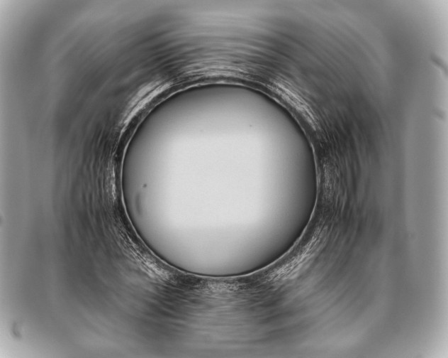 X0000096460782200802071833