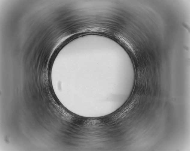 X0000096460784200802071833