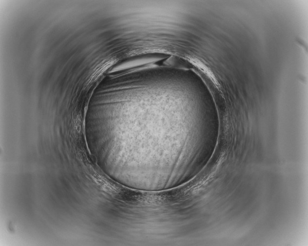 X0000096460785200802071833