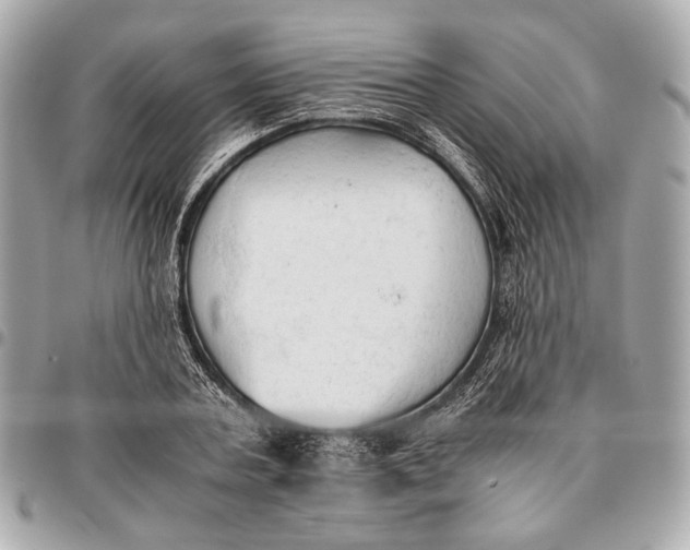 X0000096460787200802071833