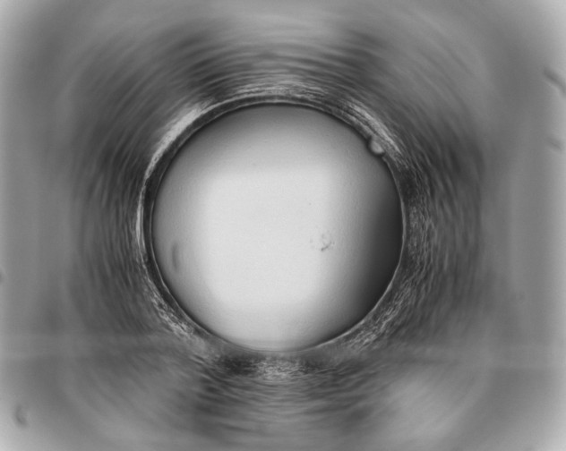 X0000096460788200802071833