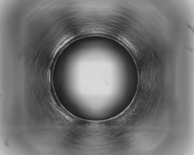 X0000096460790200802071833