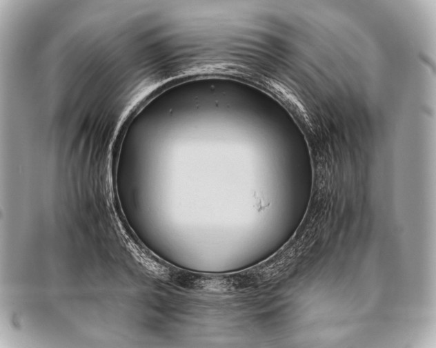 X0000096460792200802071833