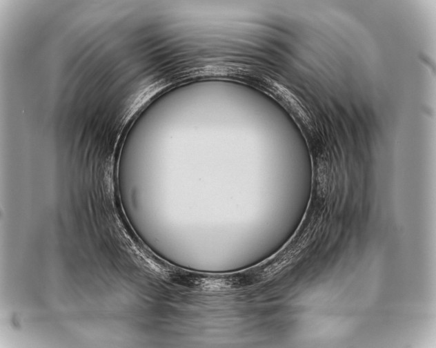X0000096460794200802071832