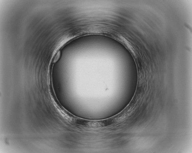 X0000096460795200802071832
