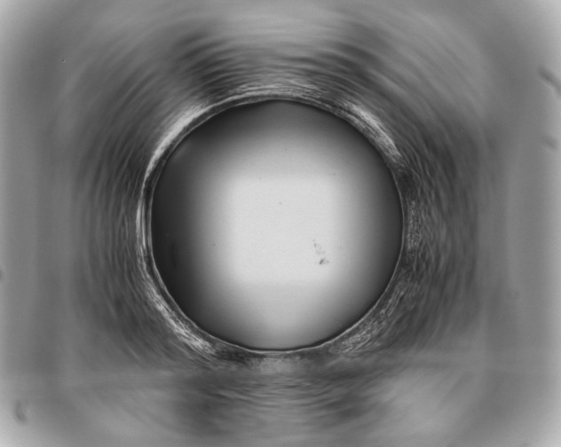 X0000096460796200802071832