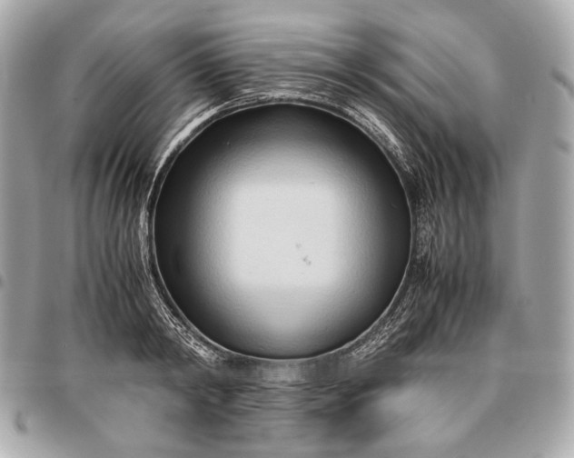 X0000096460798200802071832