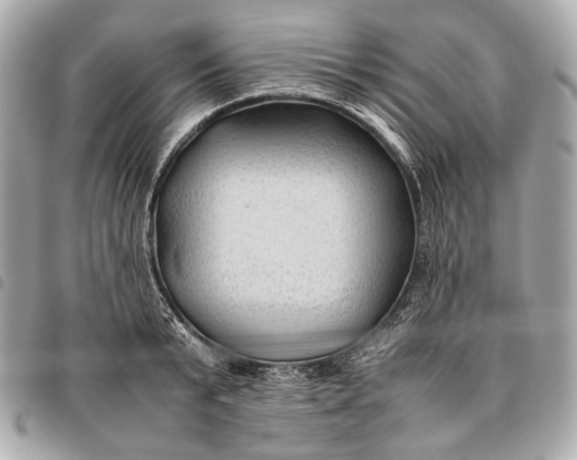 X0000096460799200802071832