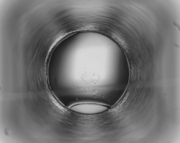 X0000096460800200802071832
