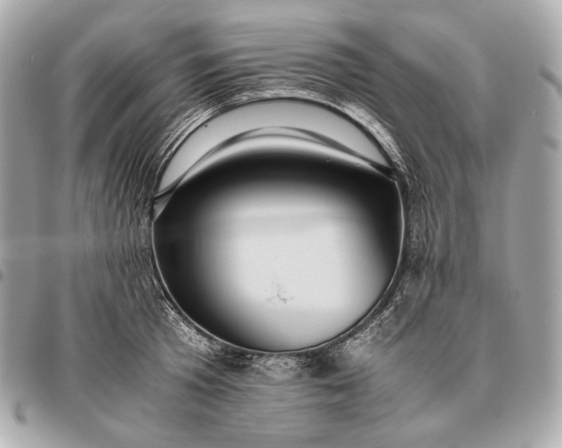 X0000096460801200802071832