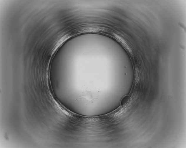 X0000096460802200802071832