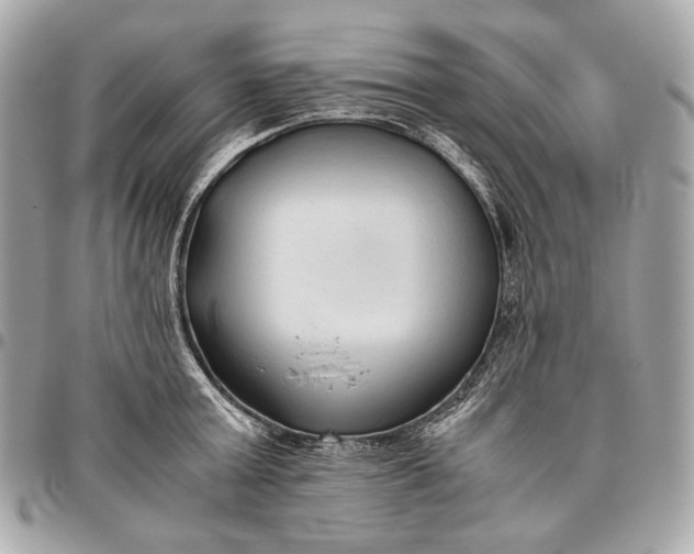 X0000096460803200802071832