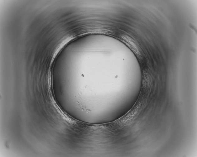 X0000096460804200802071832