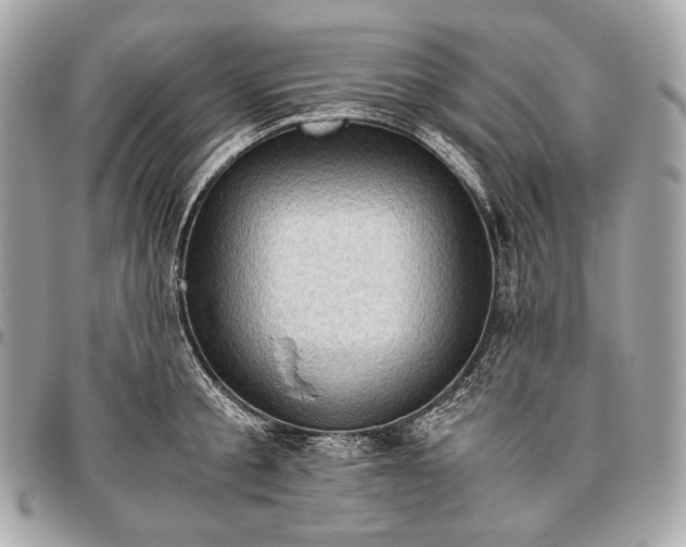 X0000096460805200802071832