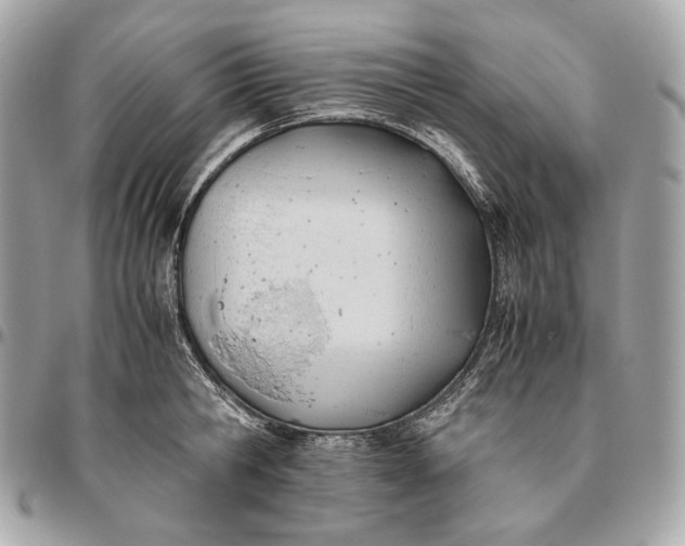 X0000096460806200802071832