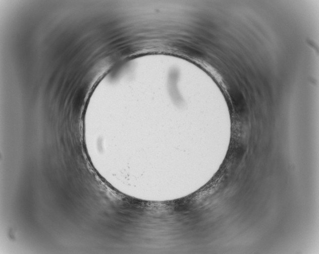 X0000096460807200802071832