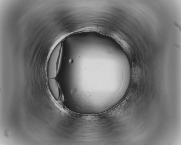 X0000096460808200802071832