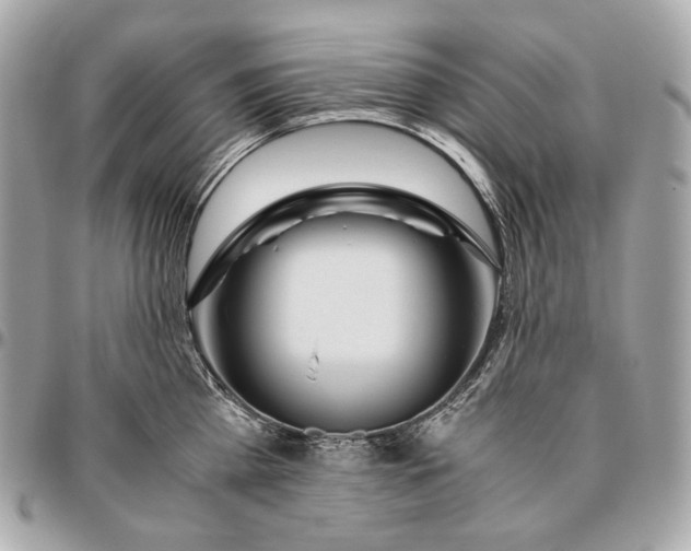 X0000096460809200802071832