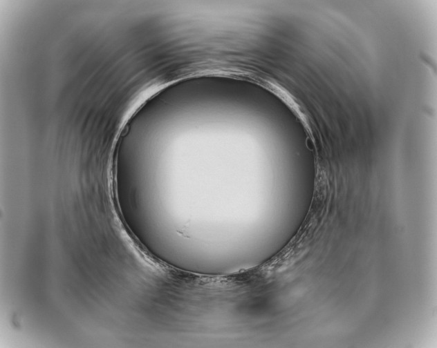 X0000096460811200802071832