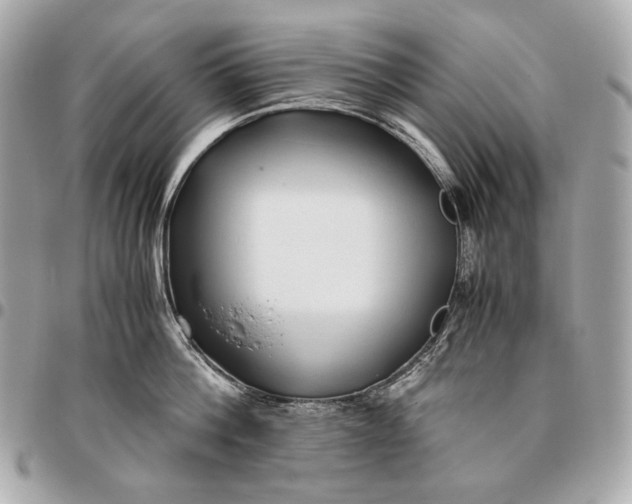 X0000096460812200802071832