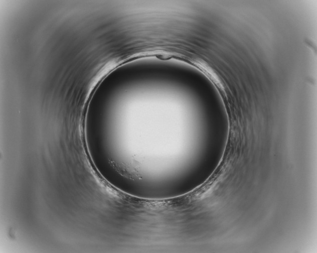 X0000096460813200802071832