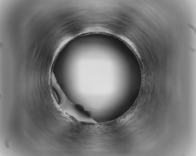 X0000096460815200802071832