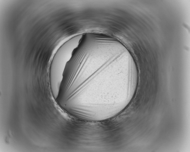 X0000096460816200802071832