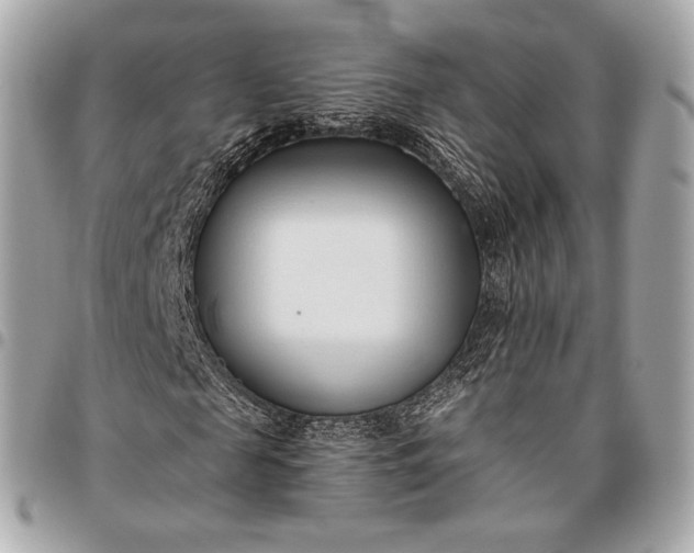 X0000096460817200802071832